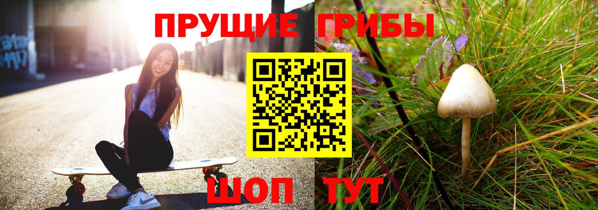 Галлюциногенные грибы мицелий Камышин